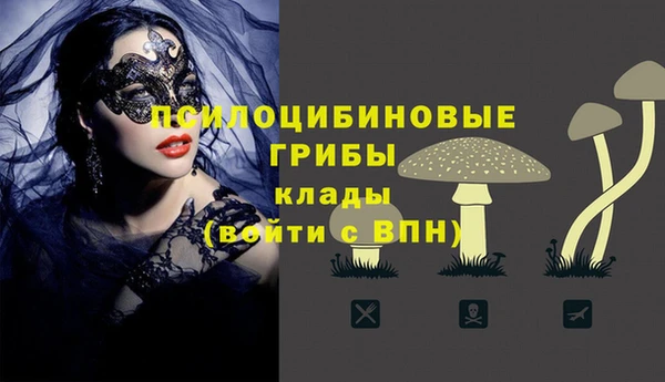 соль ск Алексеевка
