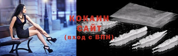 ешки Алексин